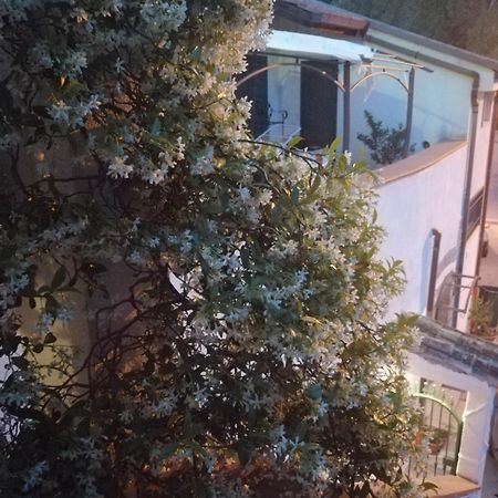 B&B Moscani 살레르노 외부 사진